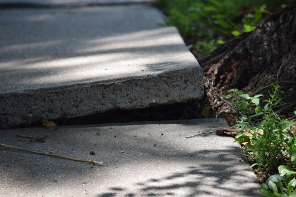 Sidewalk Leveling in Maryville